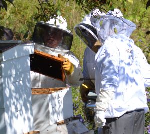 Beekeeper and Business professor Bill Case provides guidance to President Joe Cassidy and Bob Merrill, Maintenance Mechanic